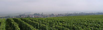 Champagne - Cormicy - 23 rd. august 2007-Brouillard et Brumes